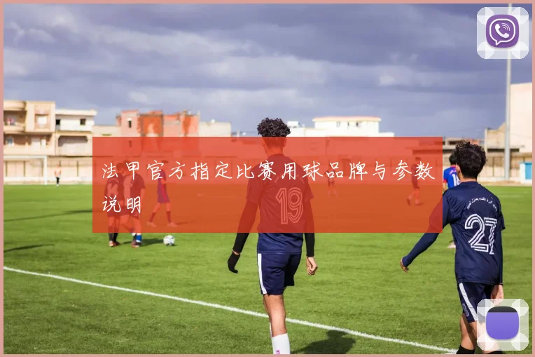 法甲官方指定比赛用球品牌与参数说明