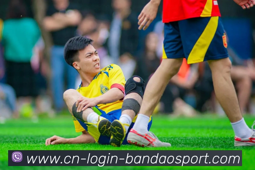 半岛体育平台生态图