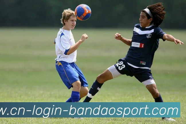 半岛体育全站App 半岛体育全站App