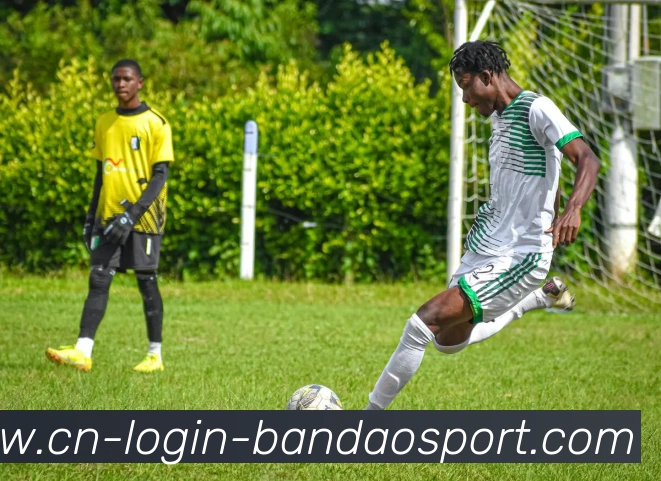 辅助工具 辅助工具